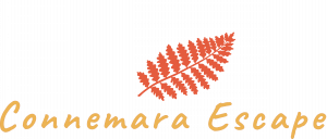 LOGO Connemaraescape